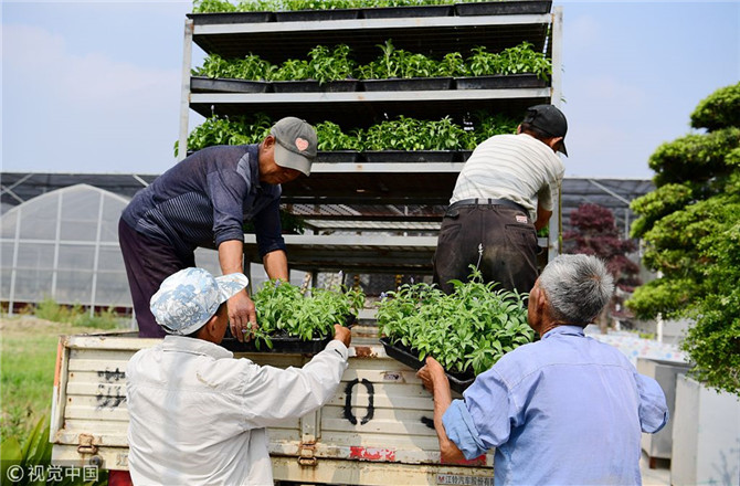 數(shù)字經(jīng)濟(jì)已經(jīng)成為我國經(jīng)濟(jì)社會(huì)更好發(fā)展的重要推動(dòng)力，也為我國鄉(xiāng)村發(fā)展提供了新的歷史機(jī)遇。（圖片來源：視覺中國）