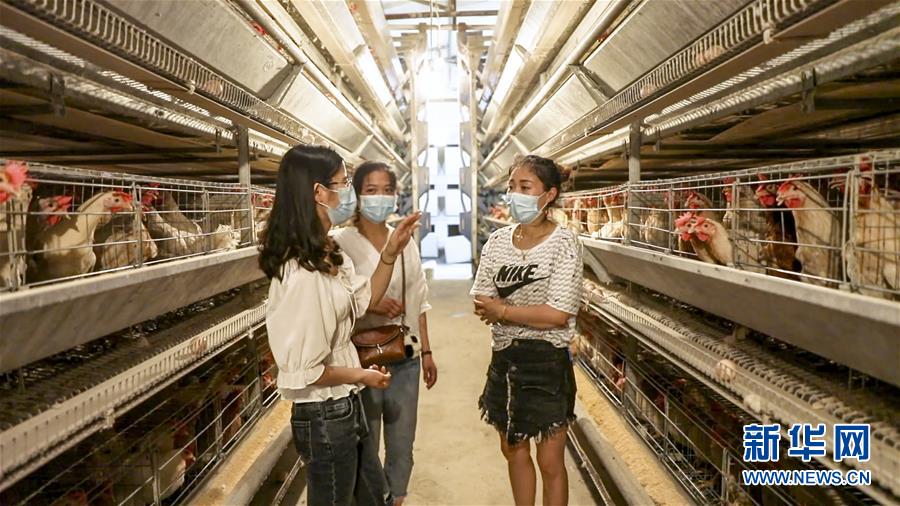 （新華全媒頭條·圖文互動）（4）基層天地廣闊 青春大有作為——聚焦“三支一扶”計劃實(shí)施十五年