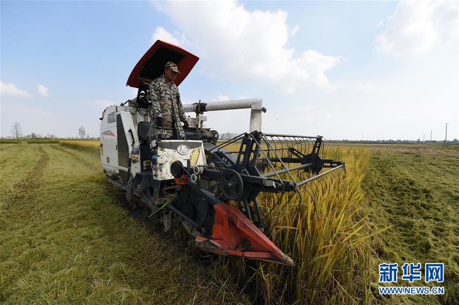 （新華全媒頭條·圖文互動(dòng)）（7）長(zhǎng)淮新“斗水”記——寫在新中國(guó)治淮70年之時(shí)