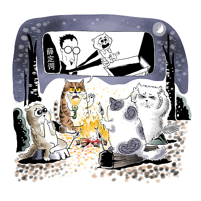 ▲物理學(xué)家薛定諤曾用一只貓比喻量子疊加。圖片來源：視覺中國