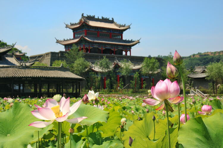 【云游渭南】心中若有桃花源，此處便是水云間！待疫情散盡，一起來渭南桃花源賞美景、觀民俗、享美食_fororder_2