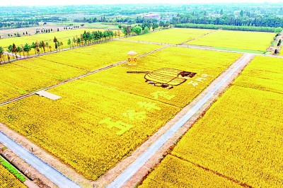 展示非凡成就 共創(chuàng)美好未來(lái) 展示非凡成就 共創(chuàng)美好未來(lái)